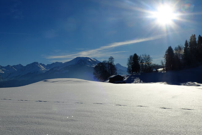Wir w&uuml;nschen allen Lehrerinnen und Lehrern ein gesegnetes Weihnachtsfest     